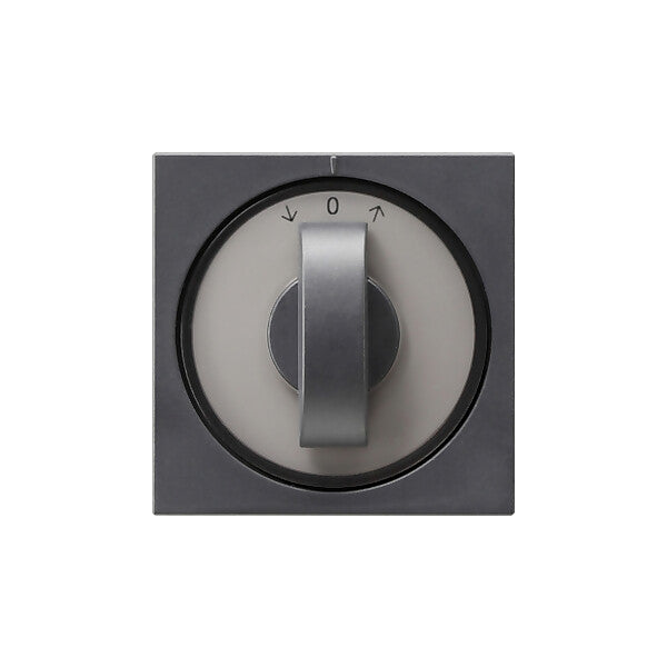 Gira Abdeckung m.Knebel anth Jalousie, System55 066628